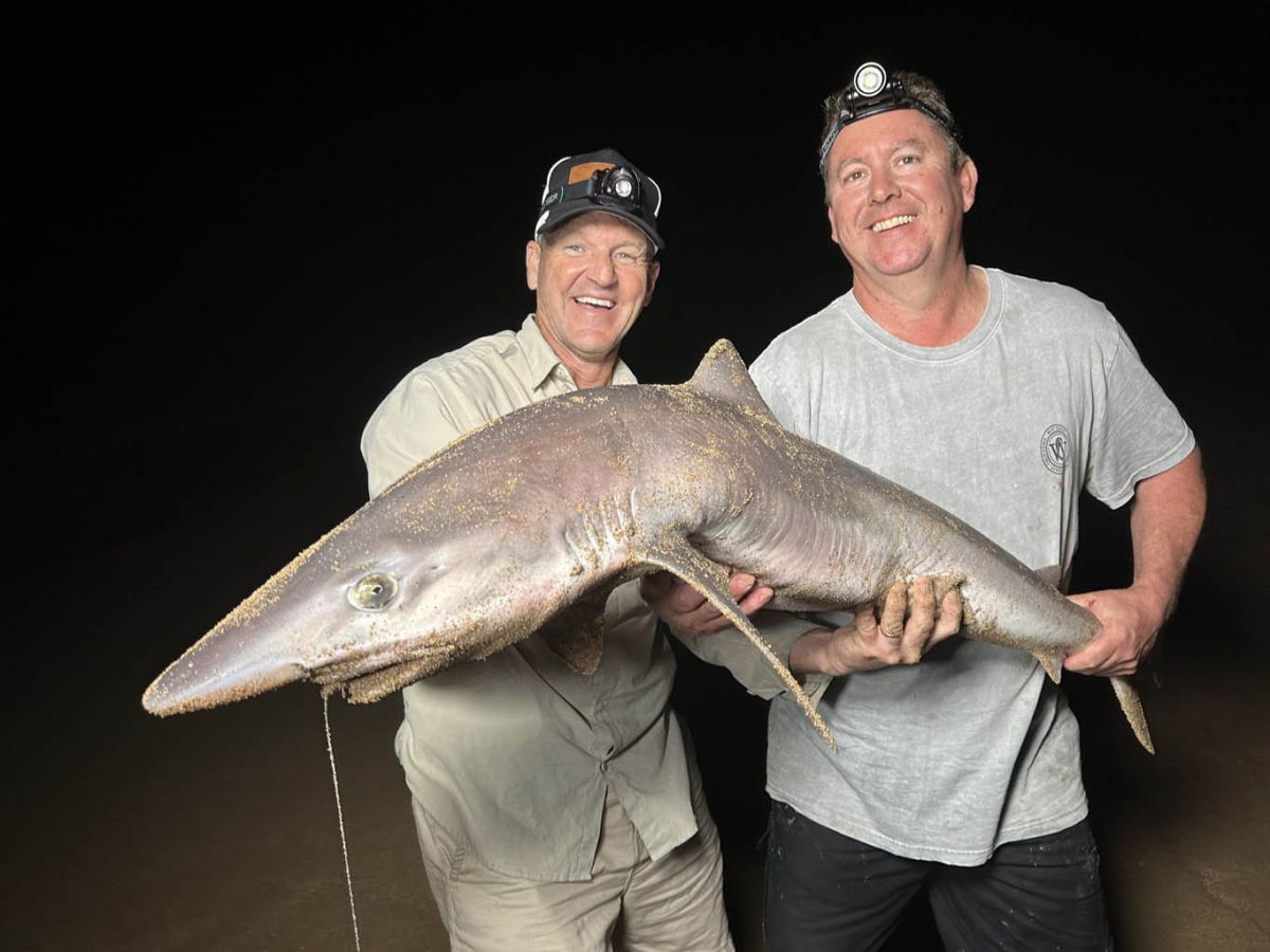 We do all manner of fishing including Beach Fishing for Table Sharks