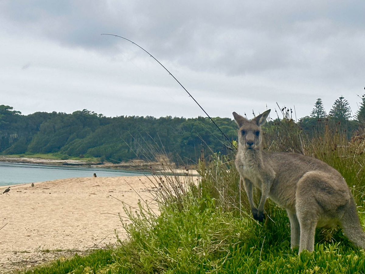 Murramarang is a fishing and nature lovers Paradise