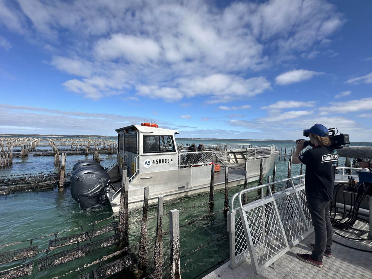 We learn about Oyster Rumbling and other cool stuff.