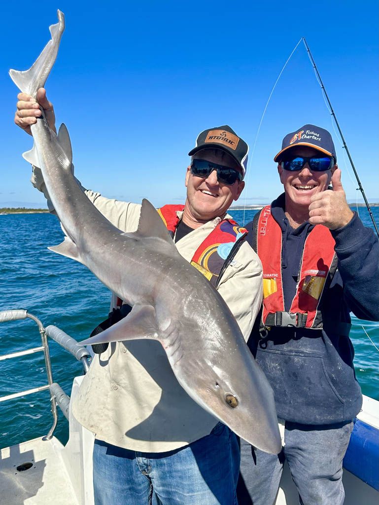 Dan from GT charters gets us into some BIG gummys