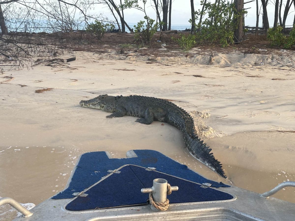 The only other fisherman we saw were crocs – what a wild and magical place.