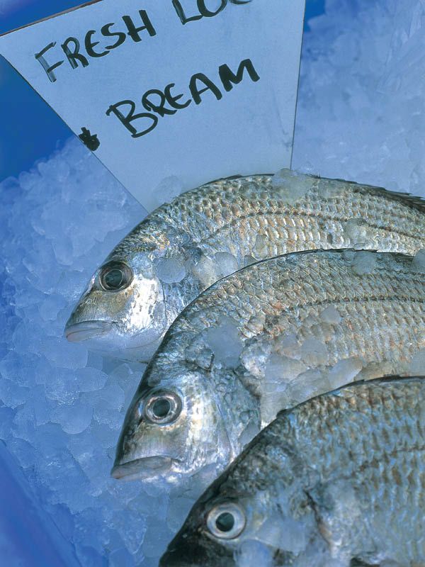 freshly-caught-bream-eurobodalla